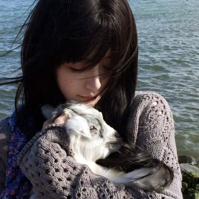 水龙吟